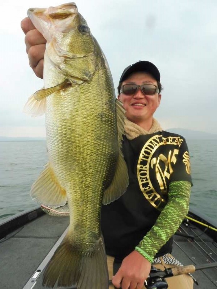 truth  ブログ写真 2017/07/07