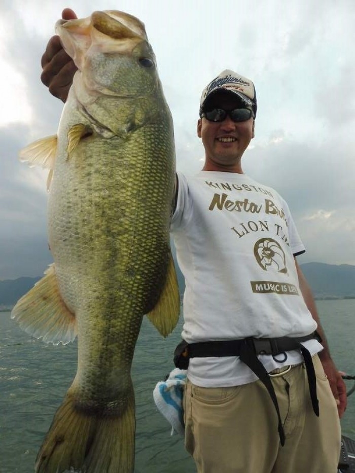 truth  ブログ写真 2017/07/07