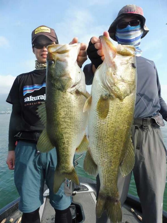 truth  ブログ写真 2017/07/08