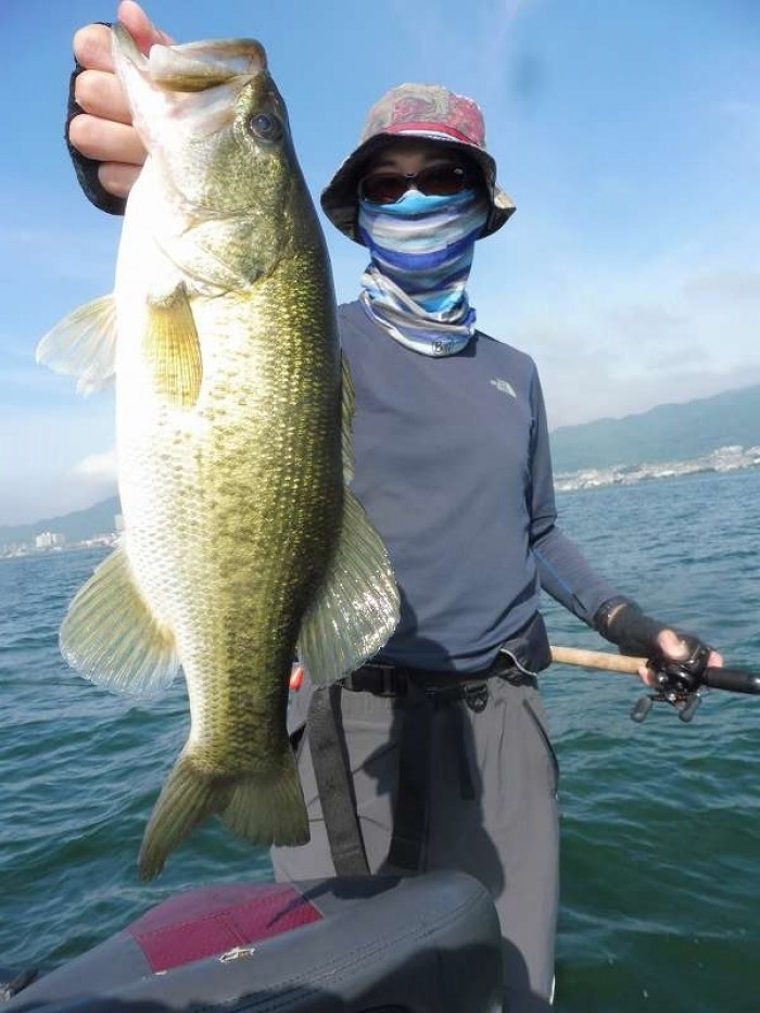 truth  ブログ写真 2017/07/08