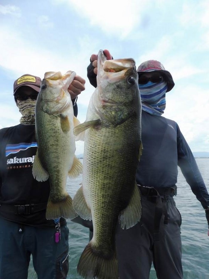 truth  ブログ写真 2017/07/08