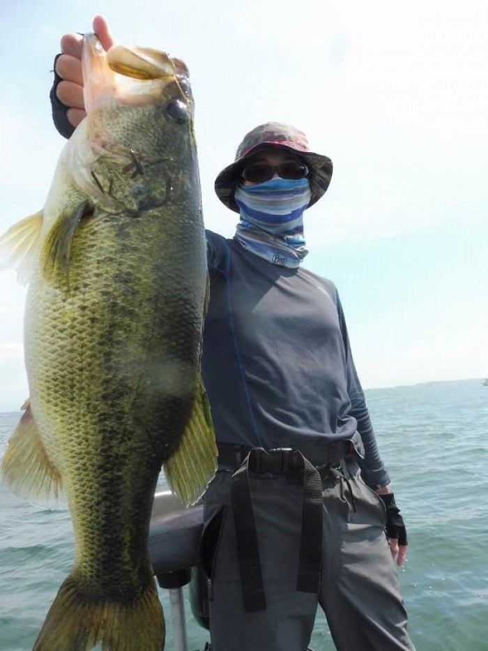 truth  ブログ写真 2017/07/08