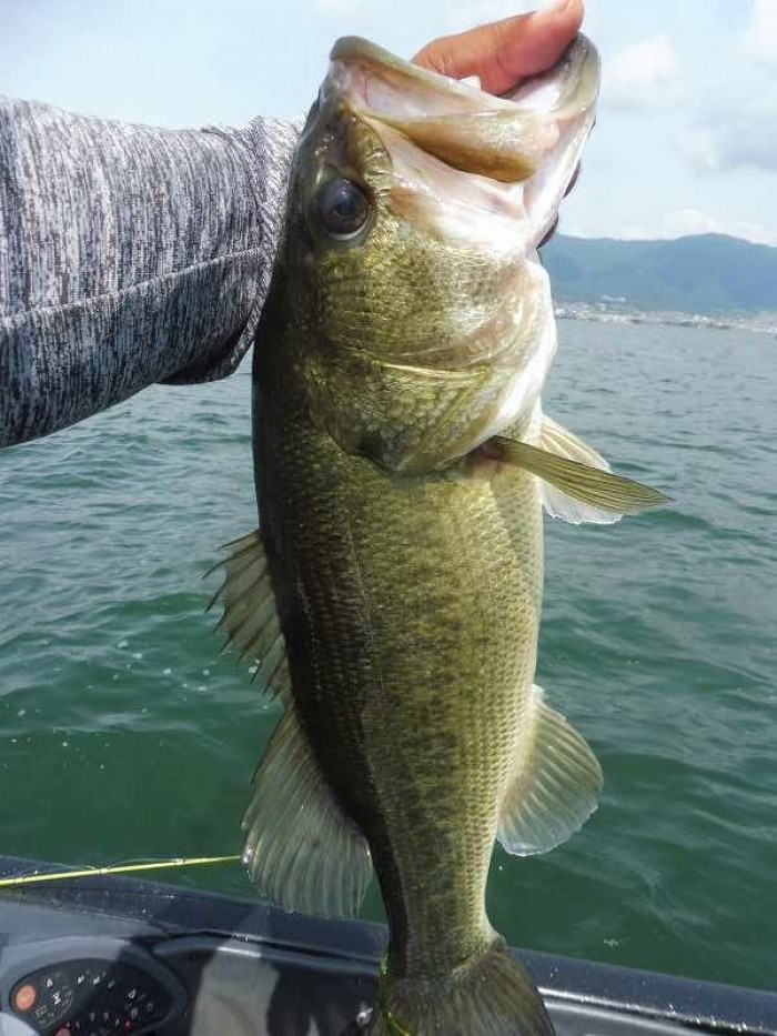 truth  ブログ写真 2017/07/08