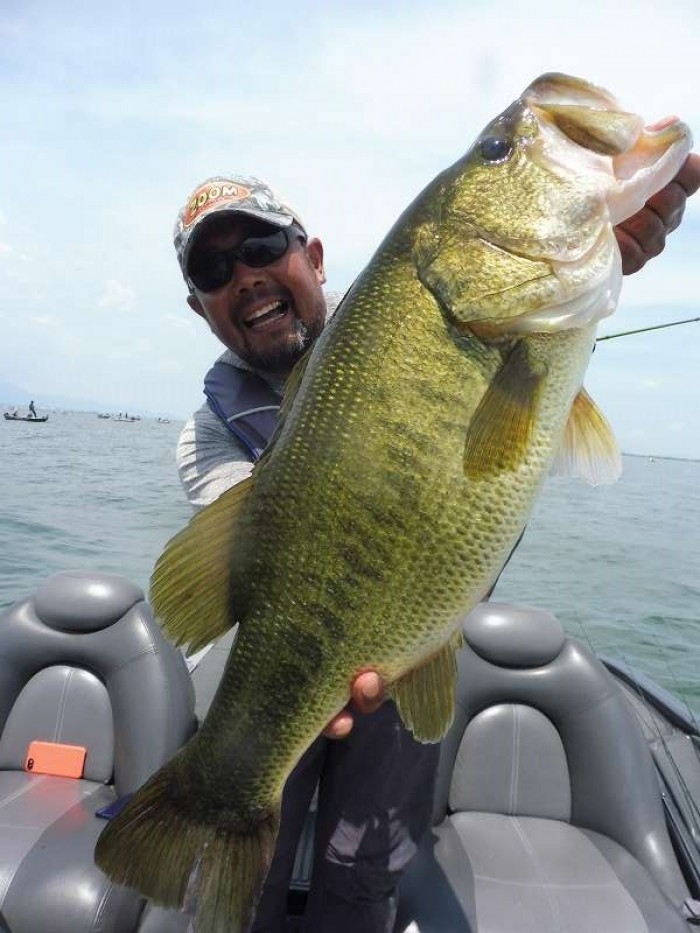 truth  ブログ写真 2017/07/08