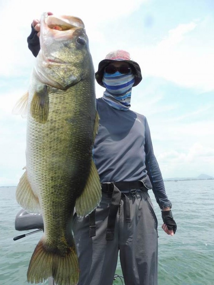 truth  ブログ写真 2017/07/08