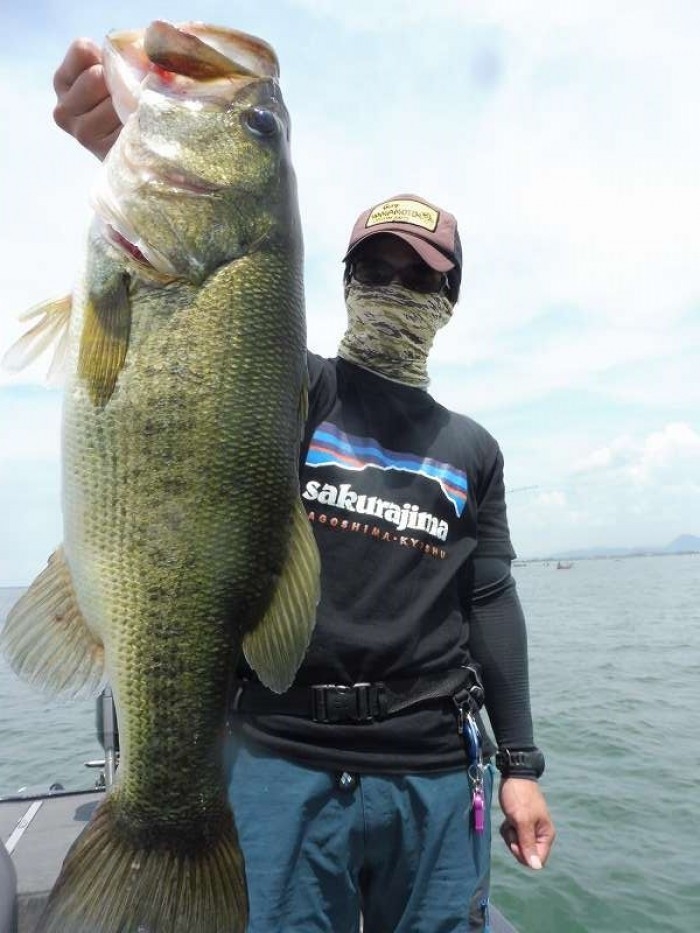 truth  ブログ写真 2017/07/08