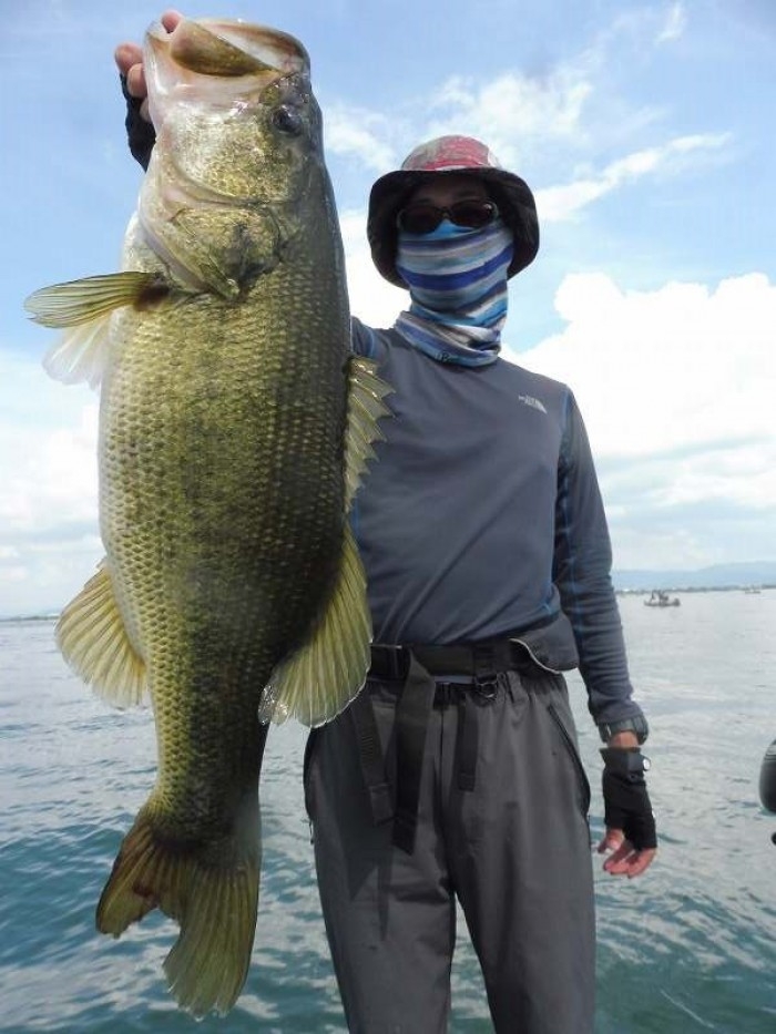 truth  ブログ写真 2017/07/08