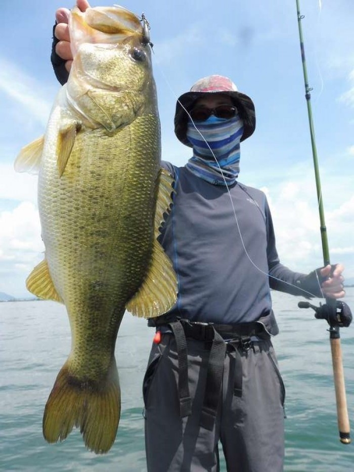 truth  ブログ写真 2017/07/08