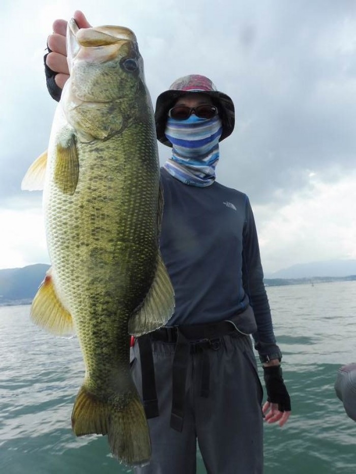 truth  ブログ写真 2017/07/08