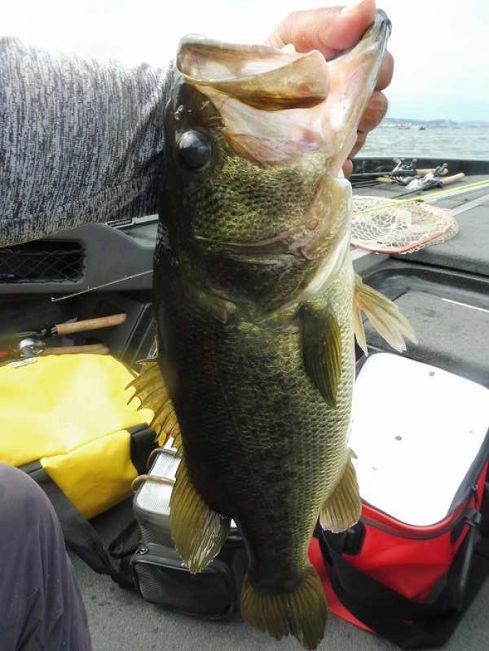 truth  ブログ写真 2017/07/08