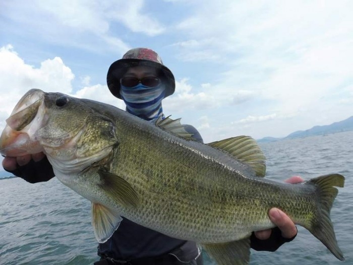 truth  ブログ写真 2017/07/08