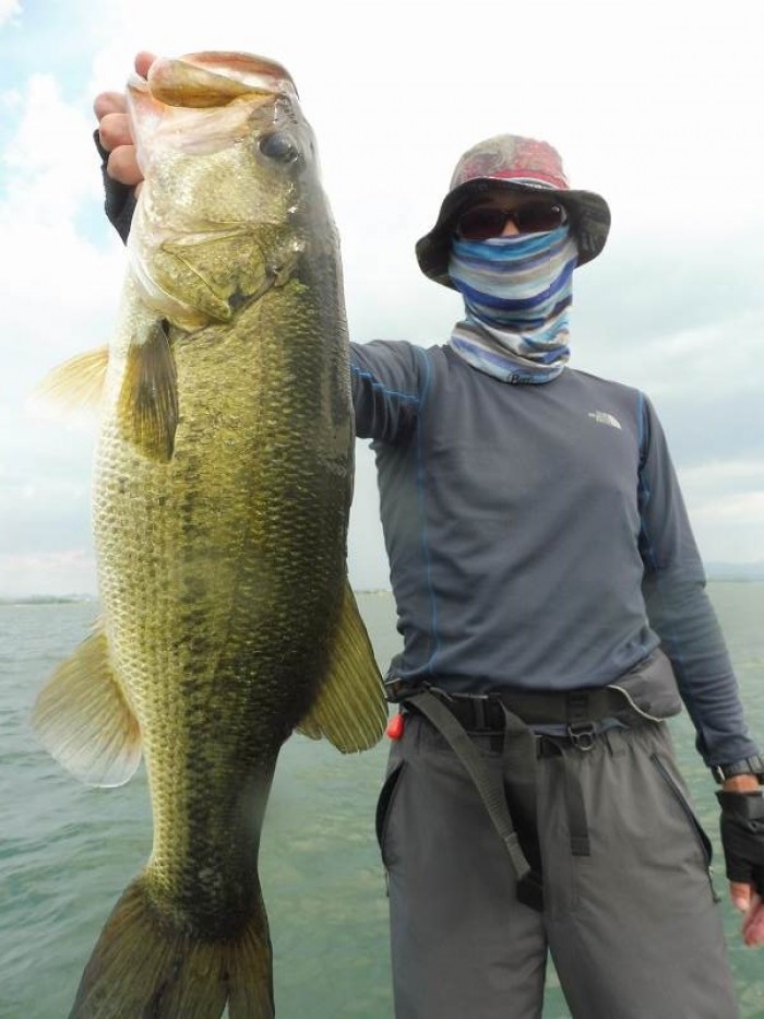 truth  繝悶Ο繧ｰ蜀咏悄 2017/07/08