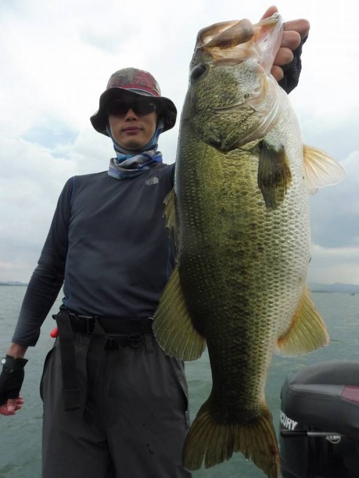 truth  繝悶Ο繧ｰ蜀咏悄 2017/07/08