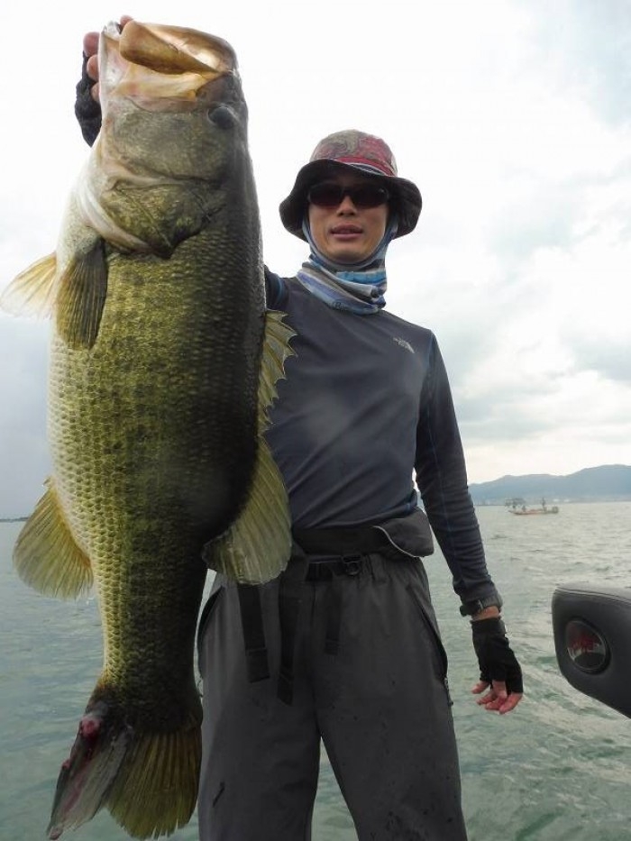 truth  繝悶Ο繧ｰ蜀咏悄 2017/07/08