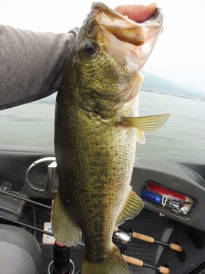 truth  ブログ写真 2017/07/09