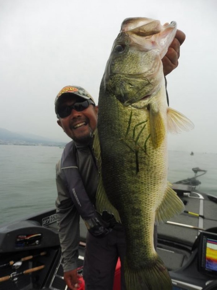 truth  ブログ写真 2017/07/09