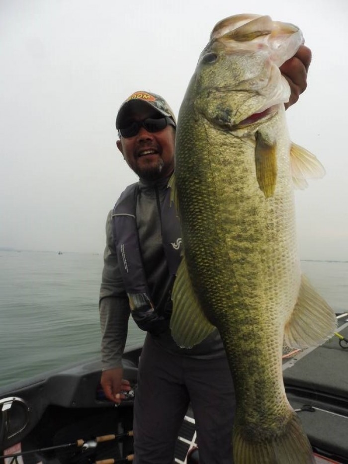 truth  ブログ写真 2017/07/09