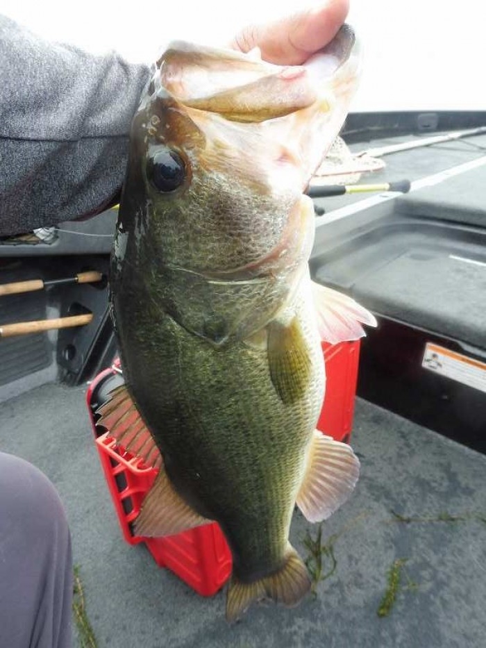 truth  ブログ写真 2017/07/09