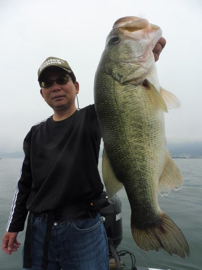 truth  ブログ写真 2017/07/09