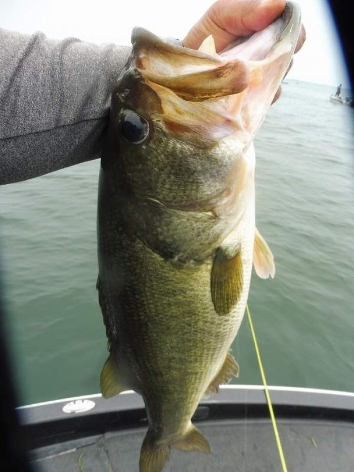 truth  ブログ写真 2017/07/09