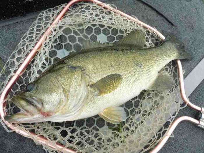 truth  ブログ写真 2017/07/09