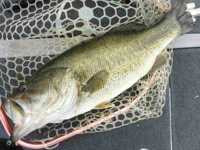 truth  ブログ写真 2017/07/10