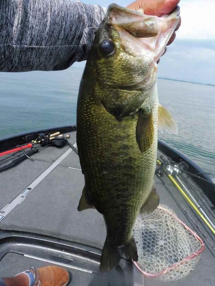 truth  ブログ写真 2017/07/11