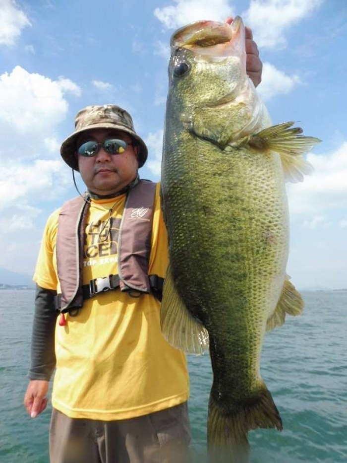 truth  ブログ写真 2017/07/11