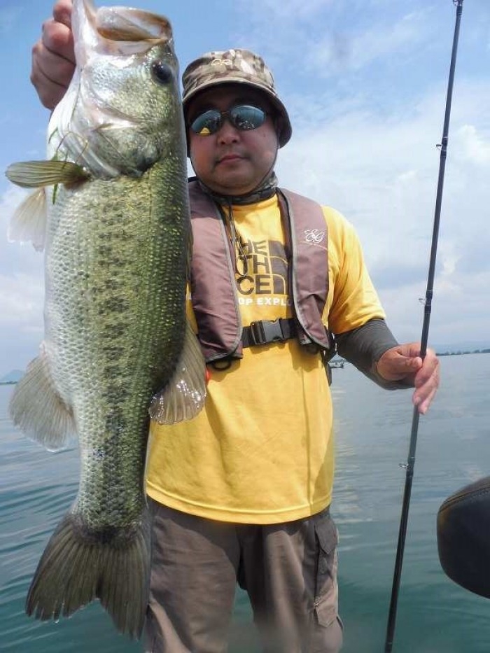 truth  ブログ写真 2017/07/11