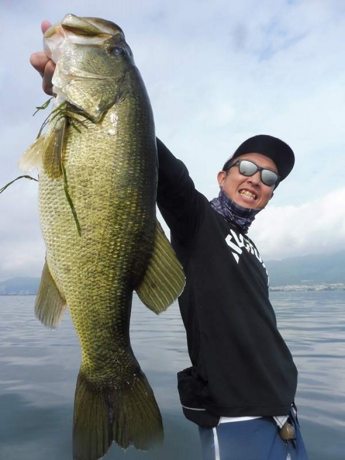 truth  ブログ写真 2017/07/12