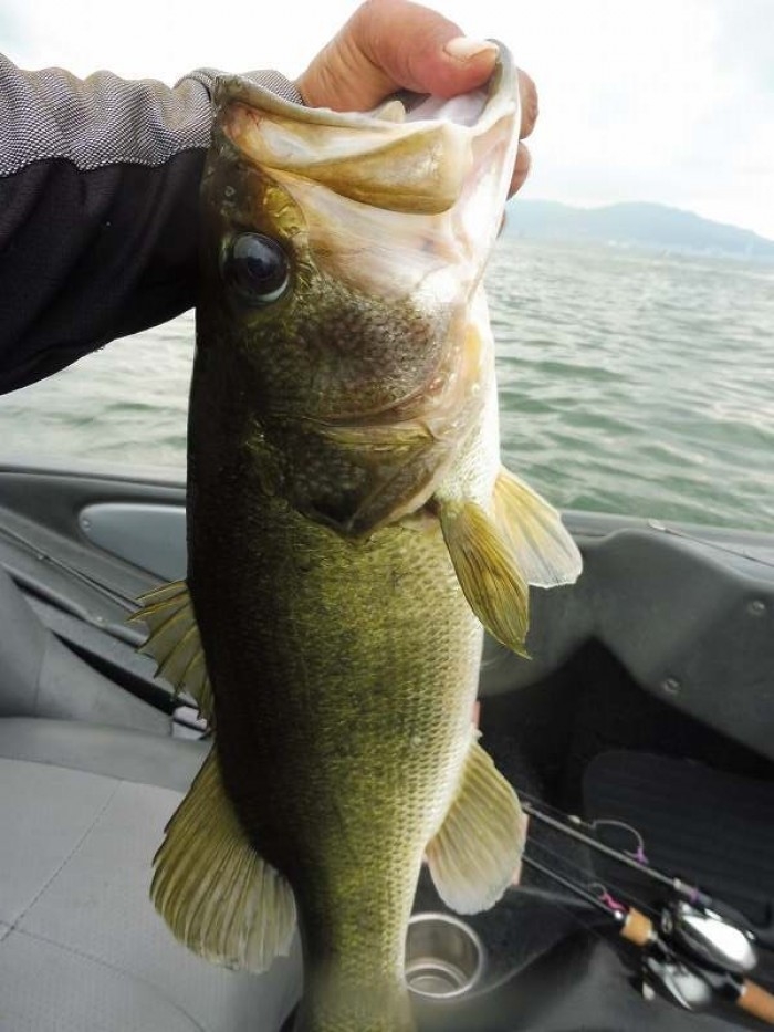 truth  ブログ写真 2017/07/12