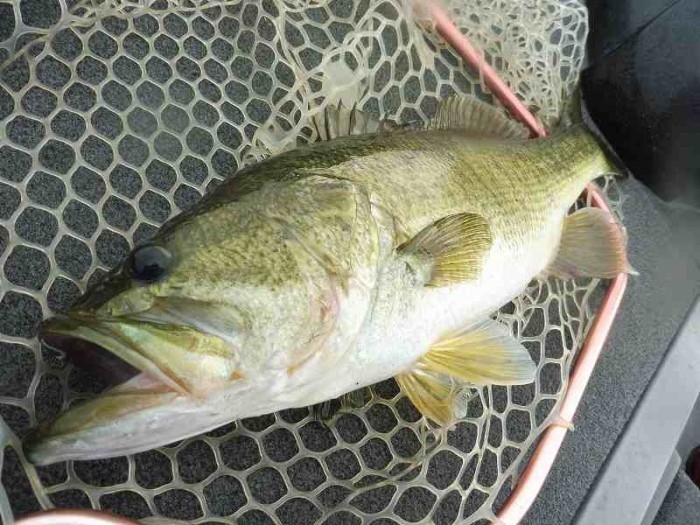 truth  ブログ写真 2017/07/12