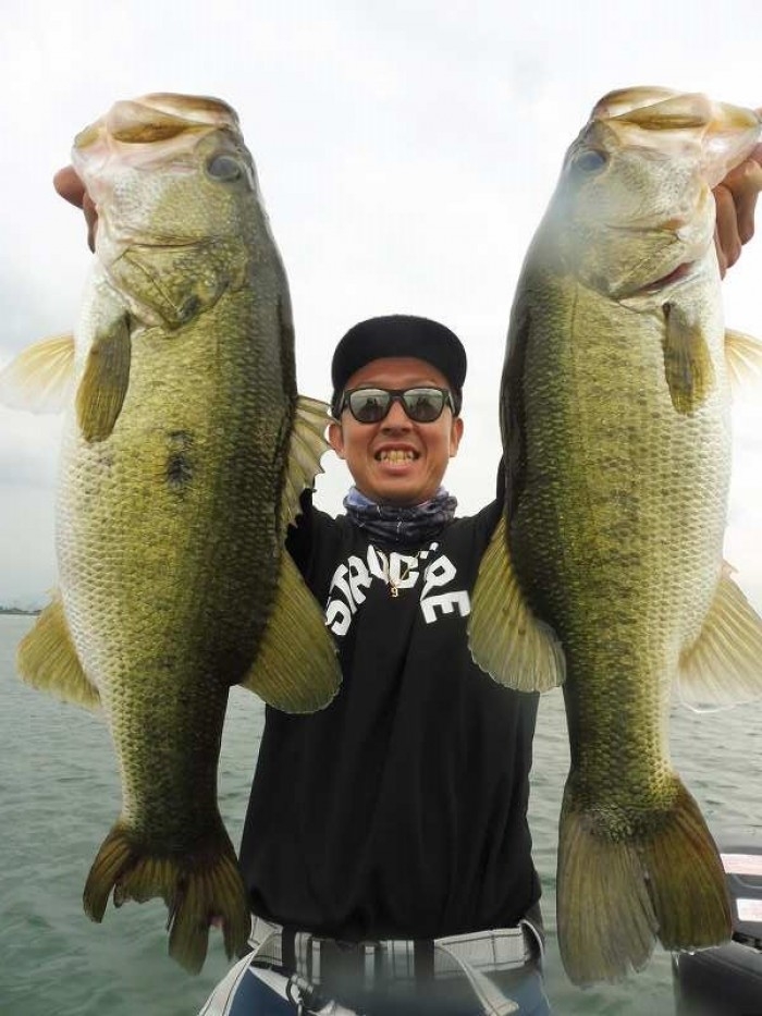 truth  ブログ写真 2017/07/12