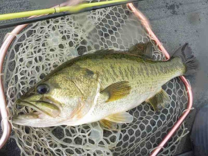 truth  ブログ写真 2017/07/13