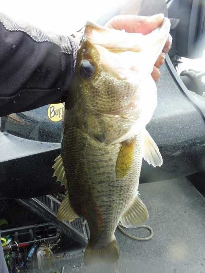 truth  ブログ写真 2017/07/14