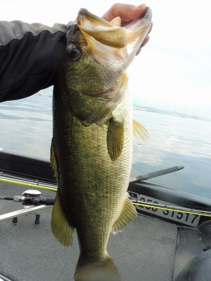 truth  ブログ写真 2017/07/14