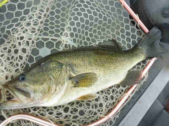 truth  ブログ写真 2017/07/14