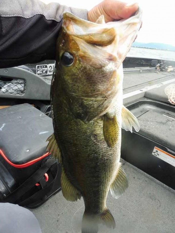 truth  ブログ写真 2017/07/14