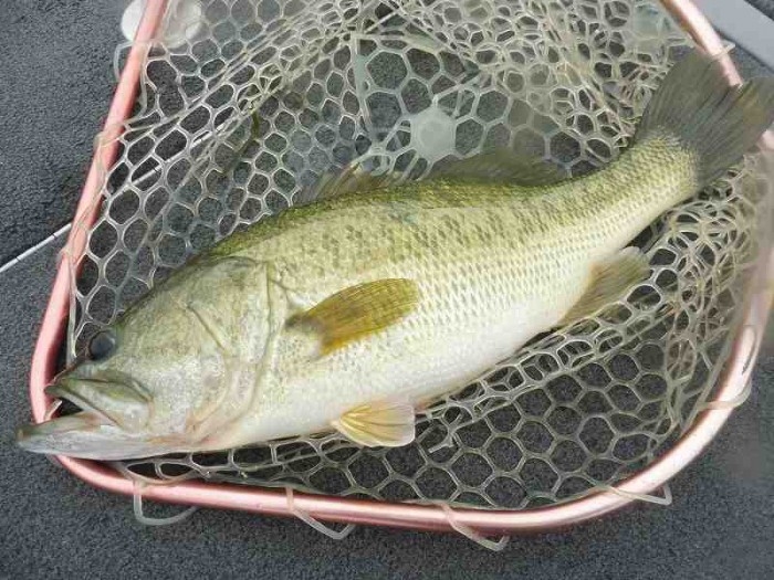 truth  ブログ写真 2017/07/14