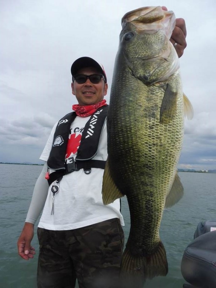 truth  ブログ写真 2017/07/14