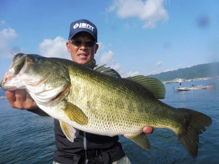 truth  ブログ写真 2017/07/15