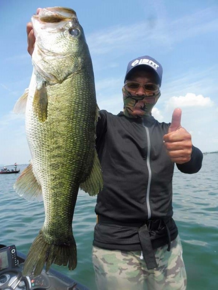 truth  ブログ写真 2017/07/15