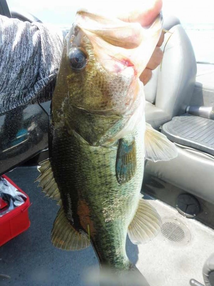 truth  ブログ写真 2017/07/15