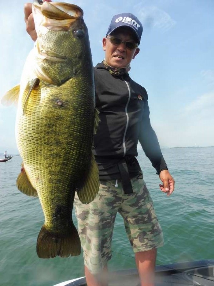 truth  ブログ写真 2017/07/15