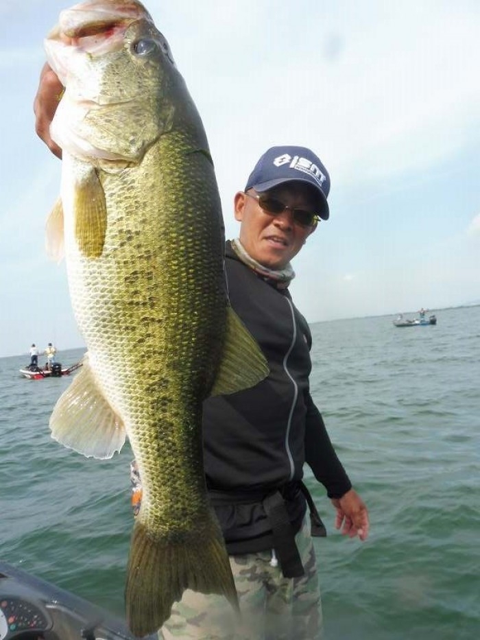 truth  ブログ写真 2017/07/15