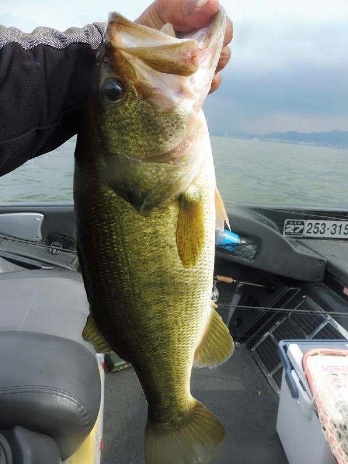 truth  ブログ写真 2017/07/17