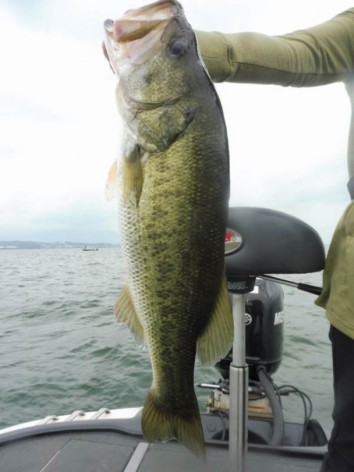 truth  ブログ写真 2017/07/17