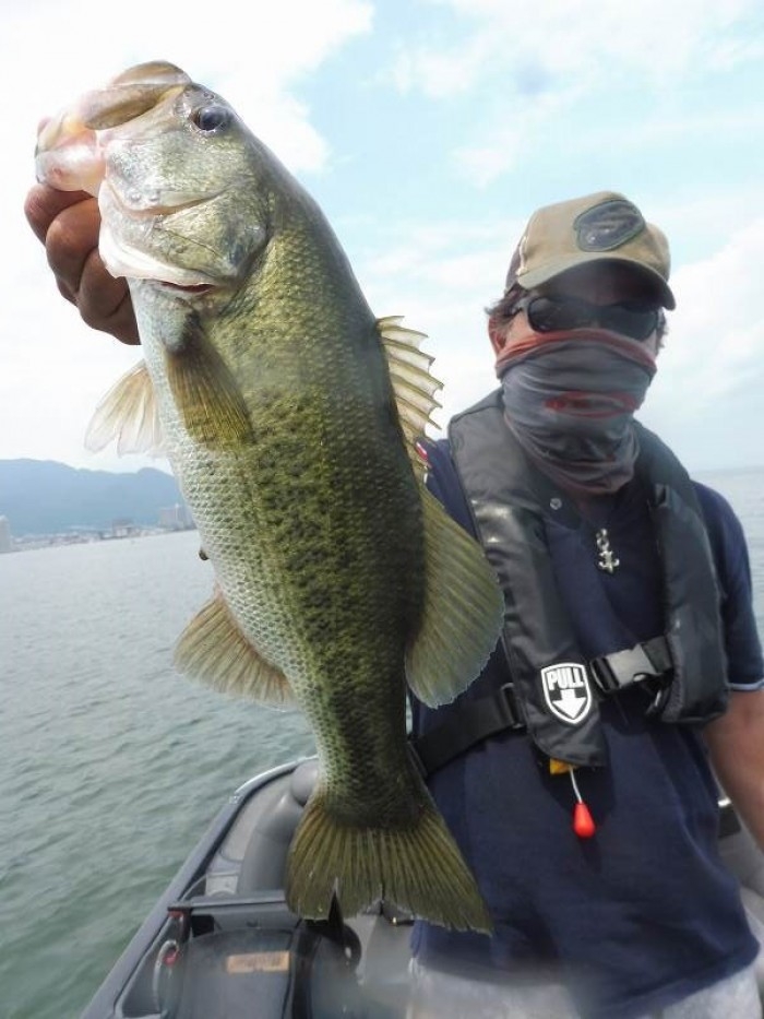 truth  ブログ写真 2017/07/17