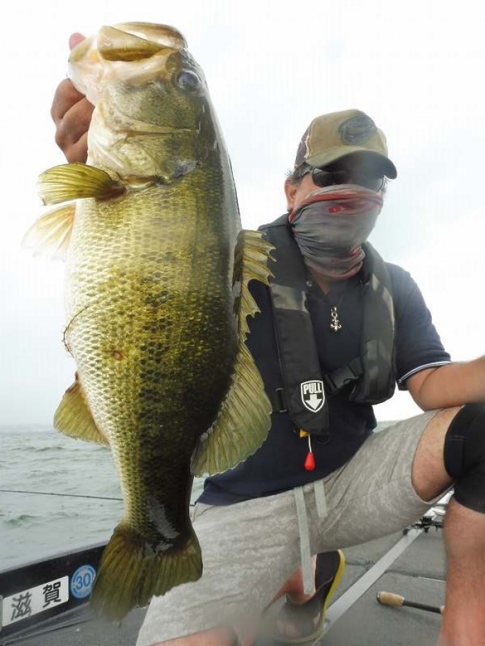 truth  ブログ写真 2017/07/17