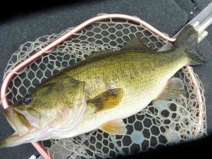 truth  ブログ写真 2017/07/18